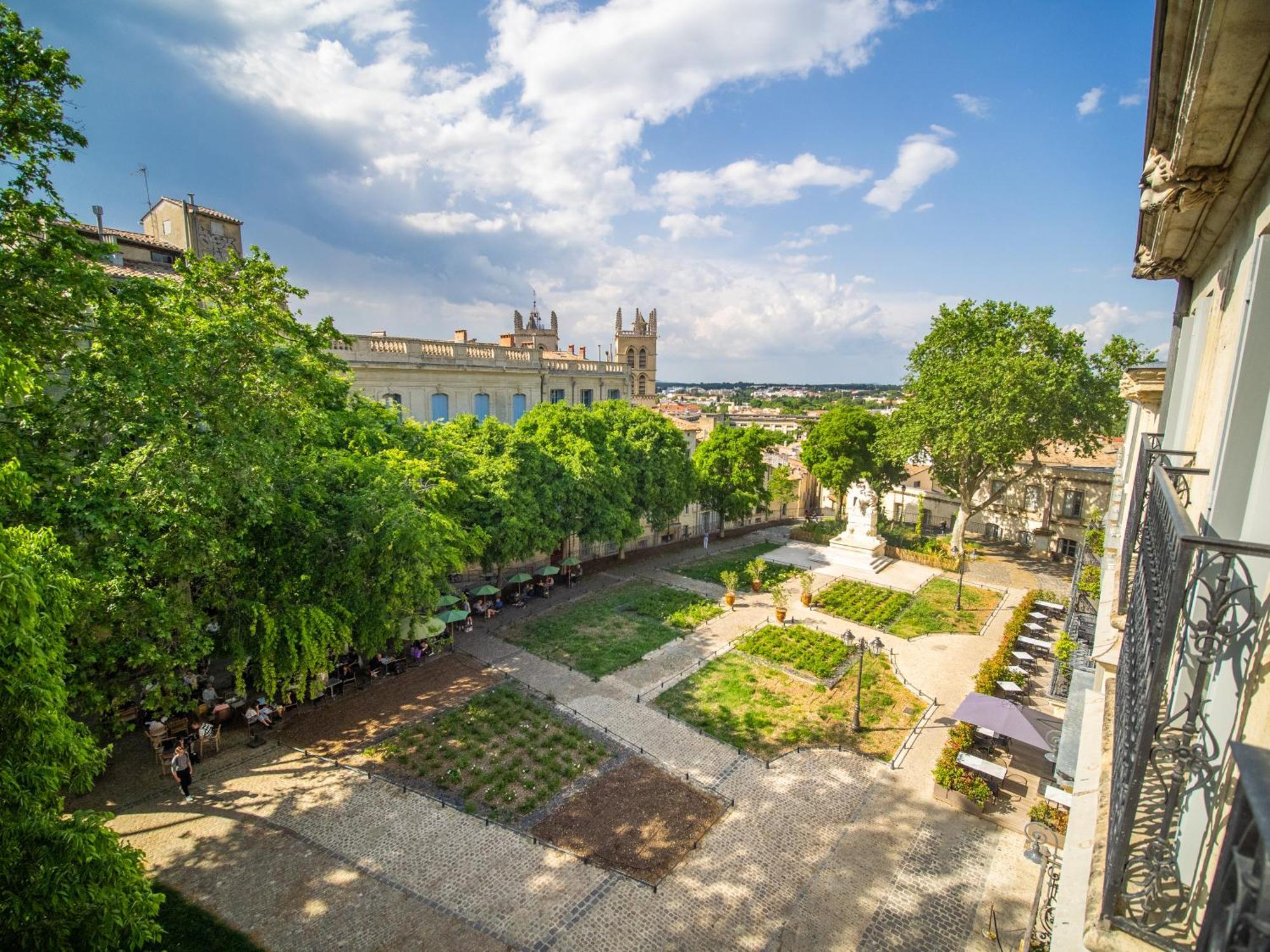 Le Platane De La Canourgue Montpellier Exteriör bild