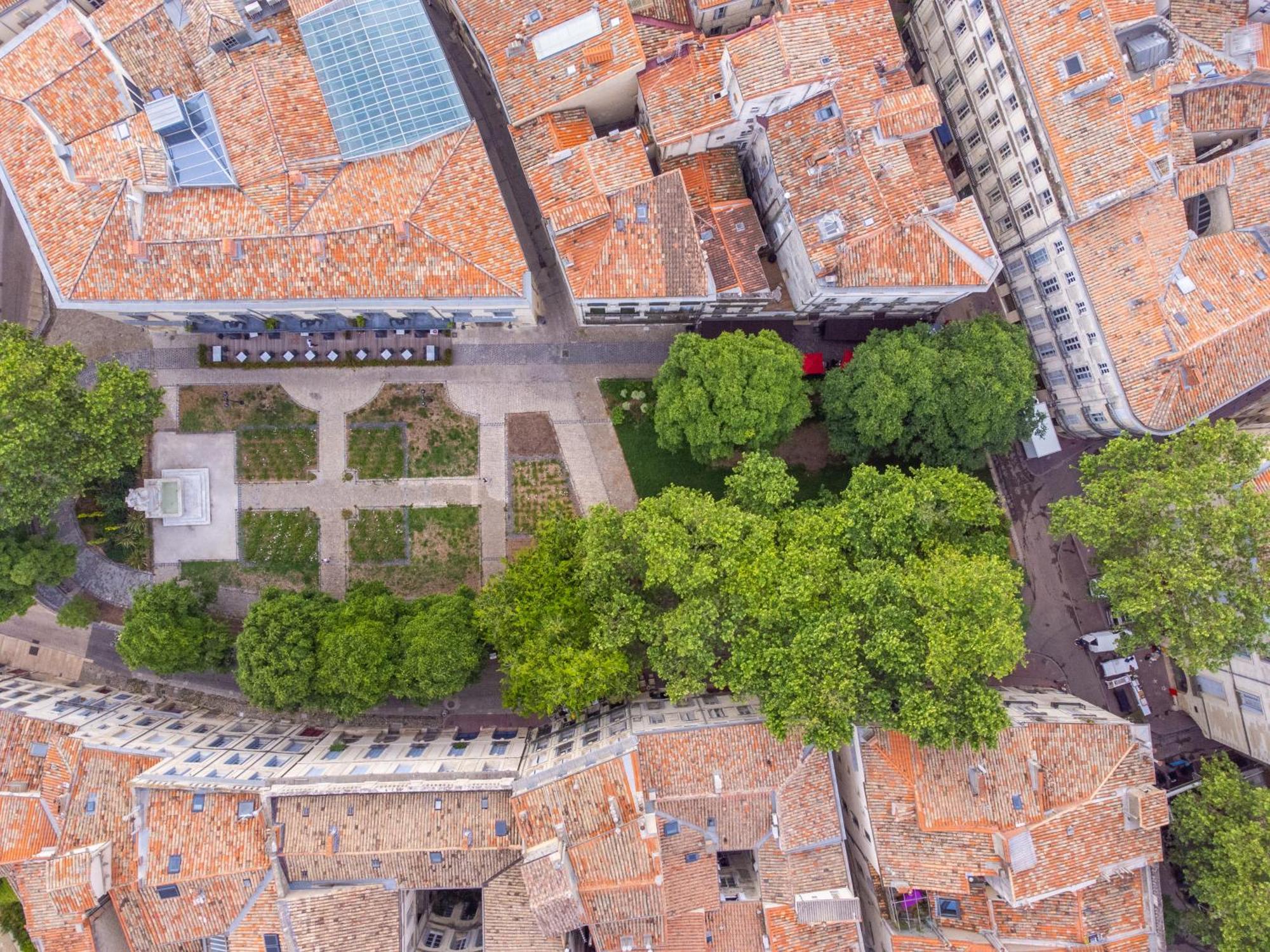 Le Platane De La Canourgue Montpellier Exteriör bild