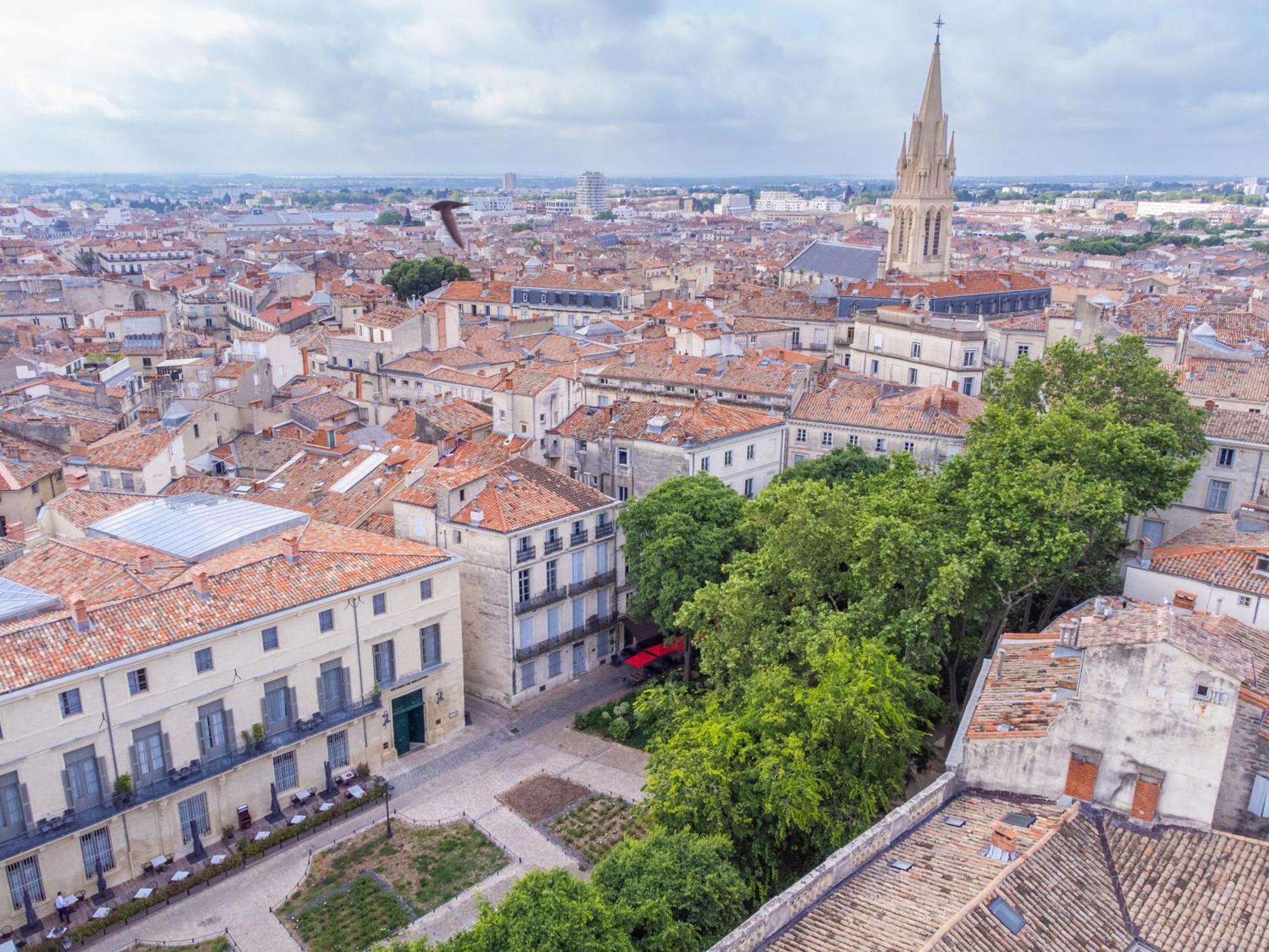 Le Platane De La Canourgue Montpellier Exteriör bild