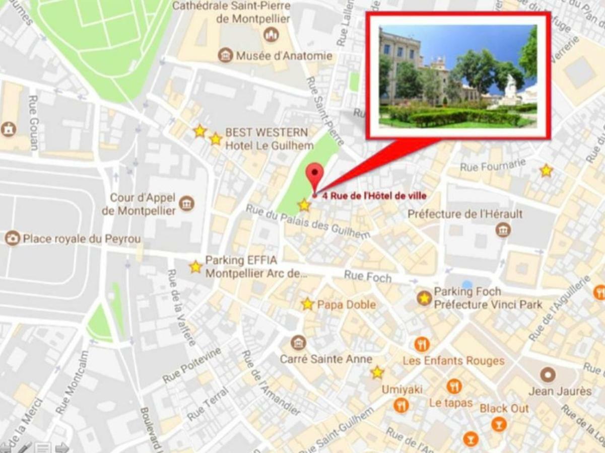 Le Platane De La Canourgue Montpellier Exteriör bild